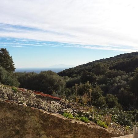 Maison Dans Le Cap Corse Villa Tomino Екстериор снимка