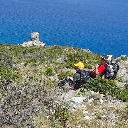 Maison Dans Le Cap Corse Villa Tomino Екстериор снимка