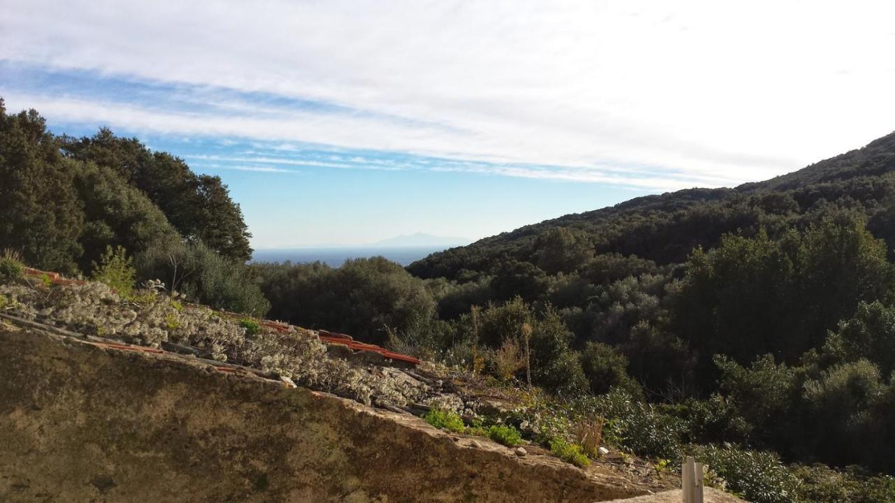 Maison Dans Le Cap Corse Villa Tomino Екстериор снимка