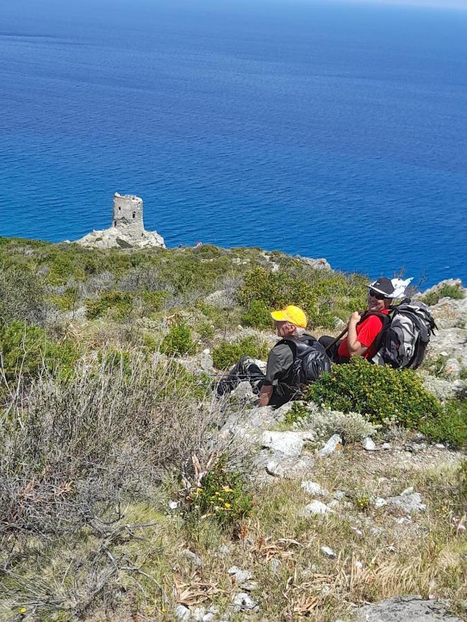Maison Dans Le Cap Corse Villa Tomino Екстериор снимка